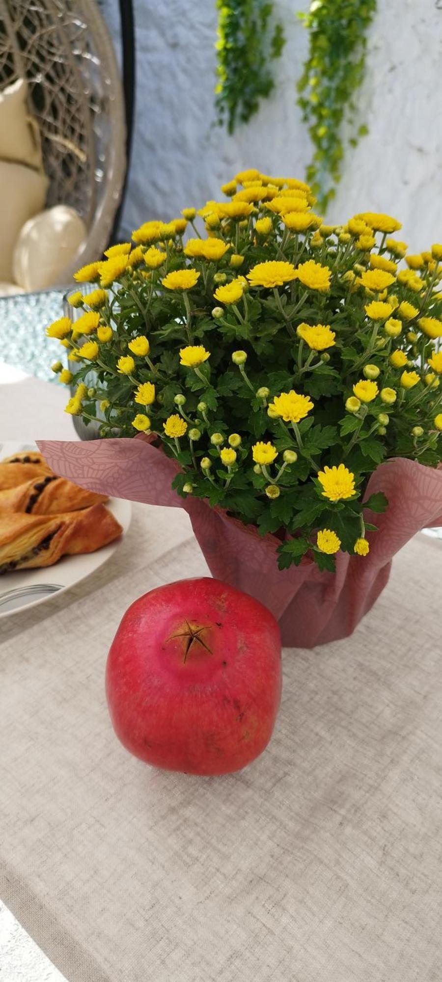 Ma Maison Nauplion Zewnętrze zdjęcie